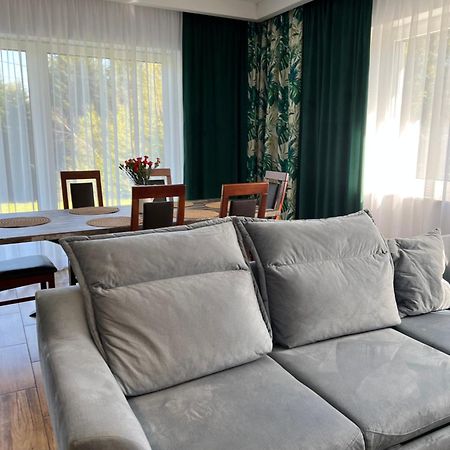 Dom Na Borowkowym Wzgorzu Apartment Palesnica Bagian luar foto