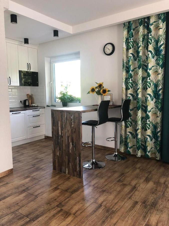 Dom Na Borowkowym Wzgorzu Apartment Palesnica Bagian luar foto