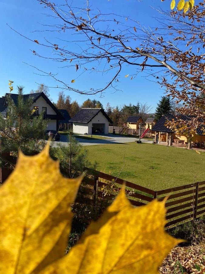 Dom Na Borowkowym Wzgorzu Apartment Palesnica Bagian luar foto