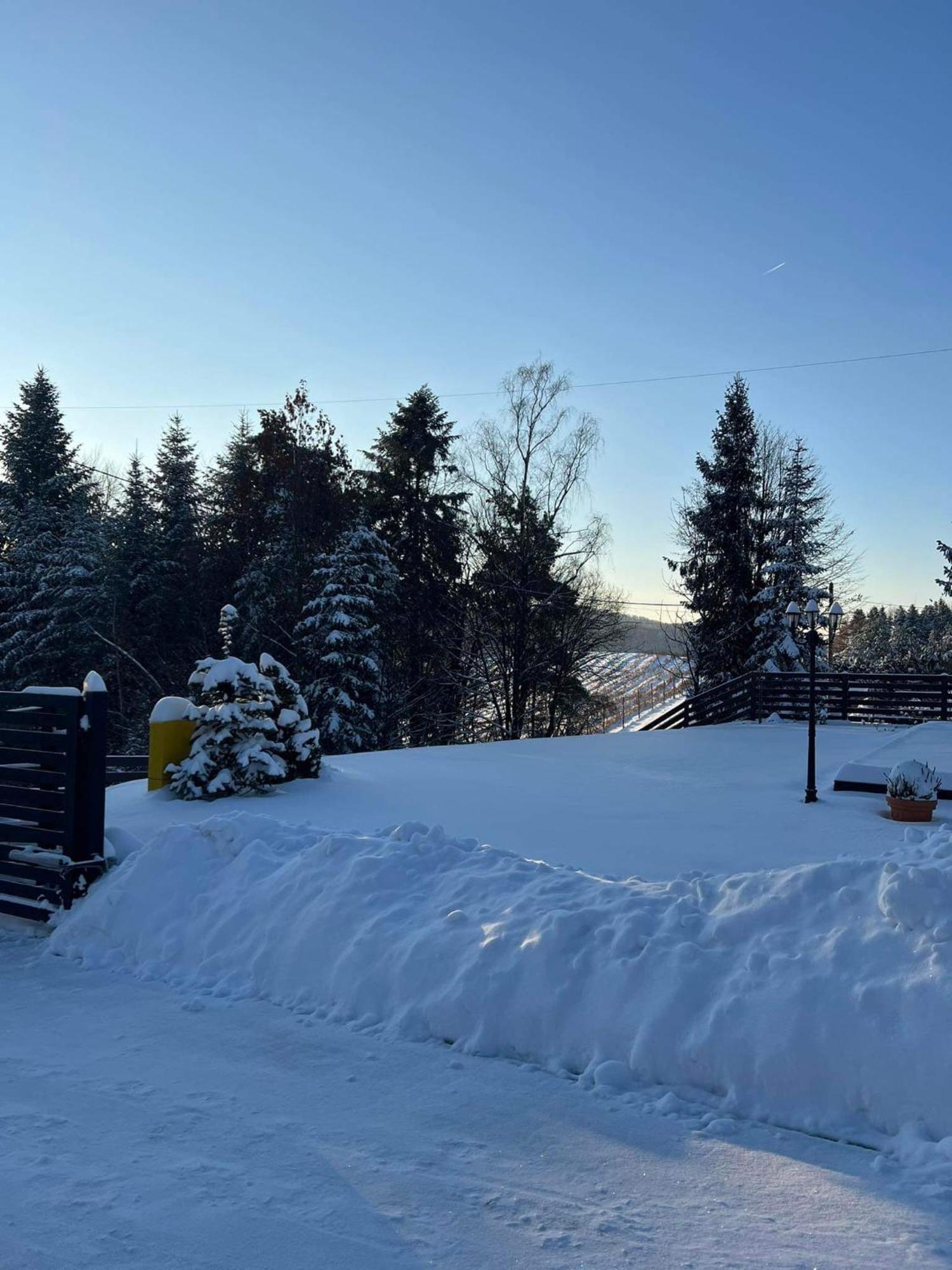 Dom Na Borowkowym Wzgorzu Apartment Palesnica Bagian luar foto