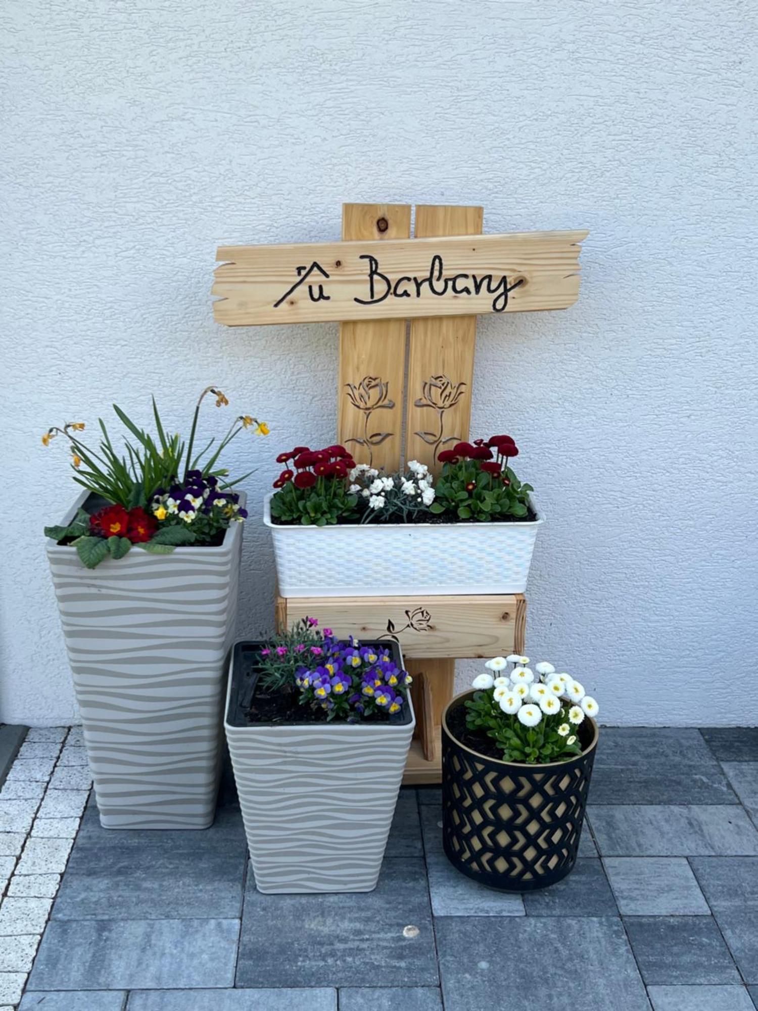 Dom Na Borowkowym Wzgorzu Apartment Palesnica Bagian luar foto
