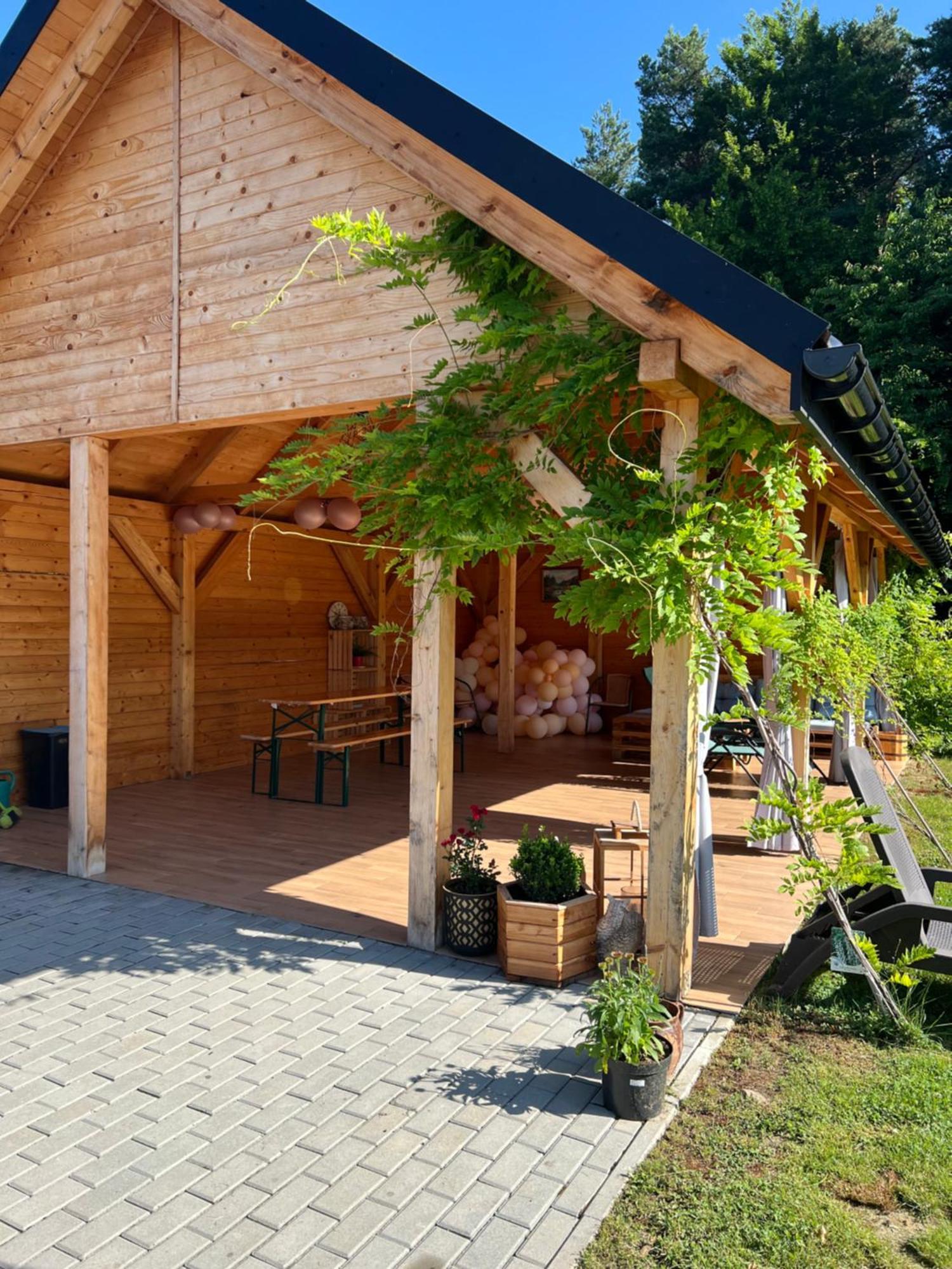 Dom Na Borowkowym Wzgorzu Apartment Palesnica Bagian luar foto
